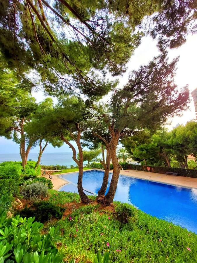 Vistas Al Mar Poniente Beach เบนิดอร์ม ภายนอก รูปภาพ